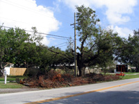 after hurricane charley, they couldn't get the limbs and branches out of the lines fast enough; but not fast enough to make up for years of neglect
